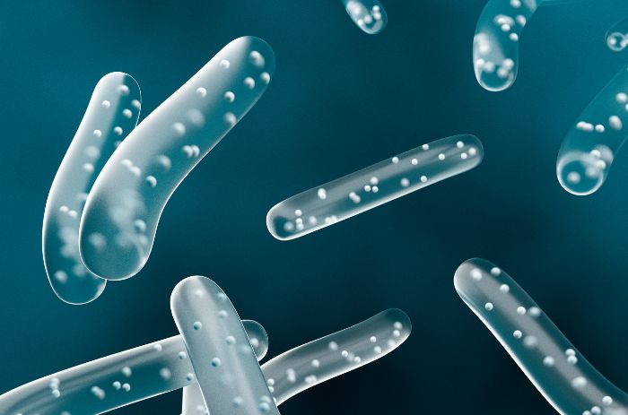 益生菌是什麼功效？換季補充益生菌的好處