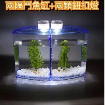 簡單養魚