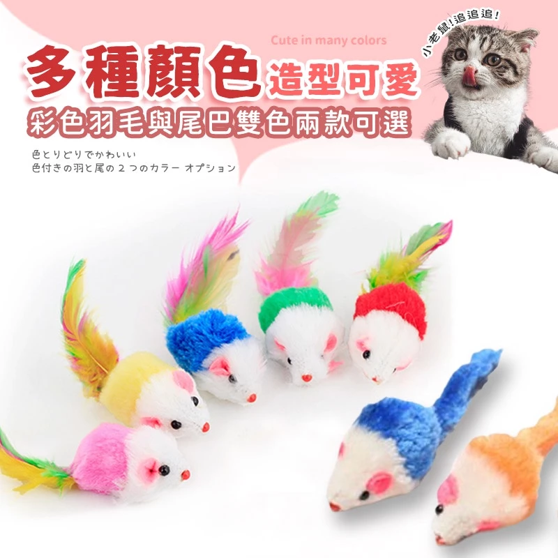 貓玩具