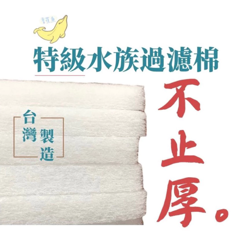 簡單養魚