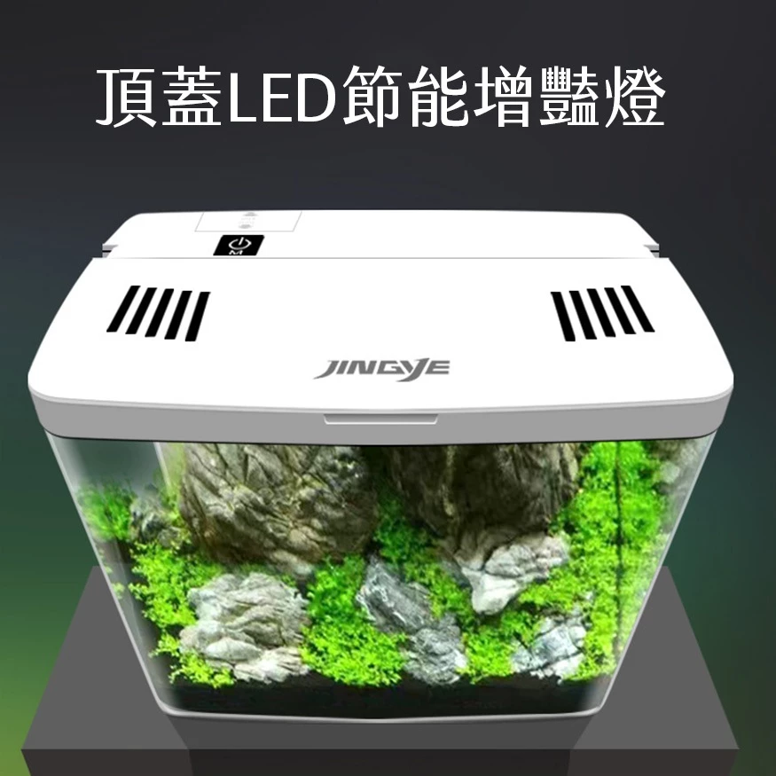 簡單養魚