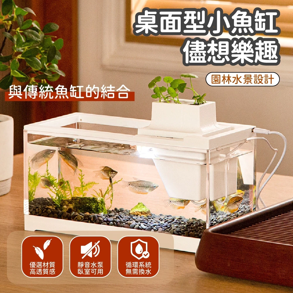 簡單養魚