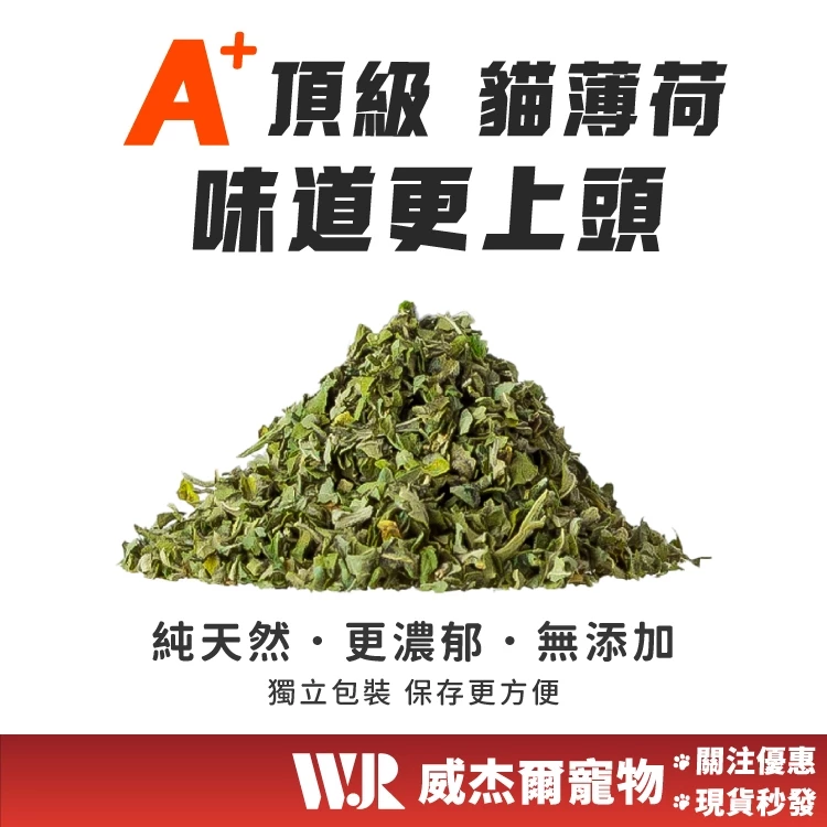 貓玩具