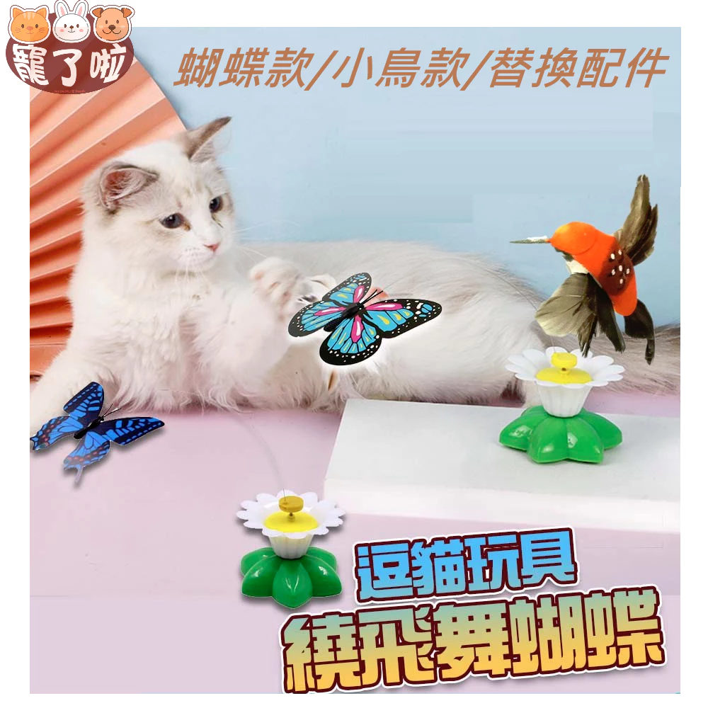 貓節日