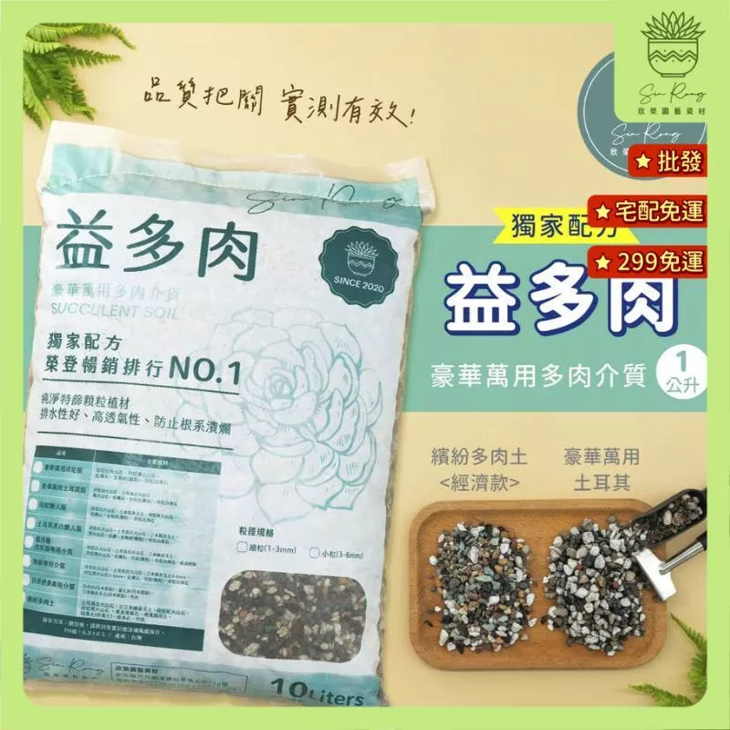 多肉植物